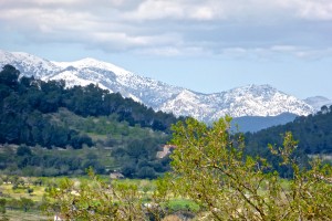 Schnee im Tramuntana- Gebirge